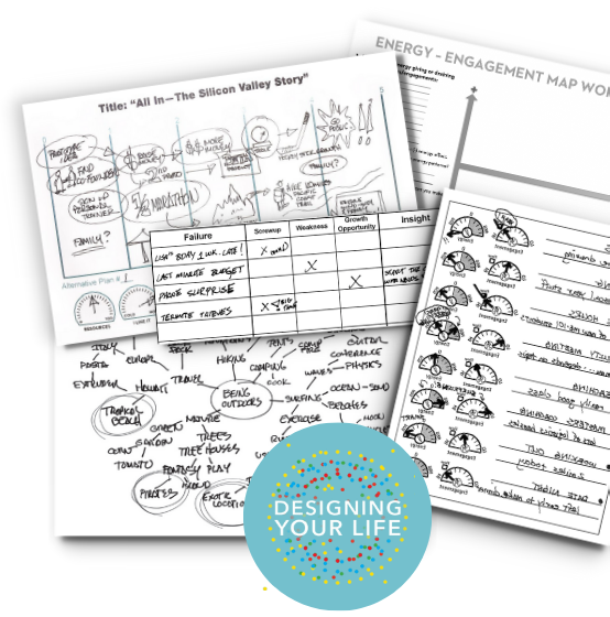 Courseware from Desgining Your Life Consulting USA